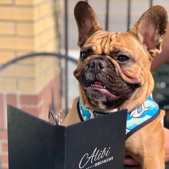 Meet your Posher, Tracy - Picture 9 of 15